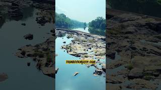 Best place to hangout “Thumboormuzhi” DAM near Chalakudy malayalam kerala vacation viral travel [upl. by Andersen725]