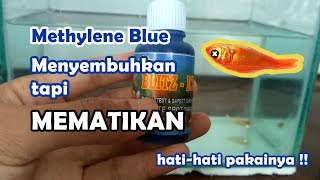 Methylene Blue Menyembuhkan tapi Mematikan [upl. by Nommad52]