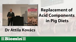 Replacement of Acid Components in Pig Diets Webinar [upl. by Octavus]