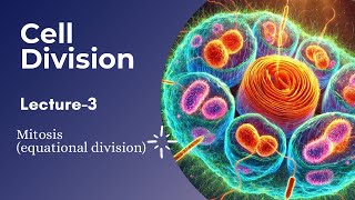 Cell division Mitosisequational division lecture3 [upl. by Myranda]