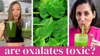 Are Plant OXALATES TOXIC Dr Brooke Goldner amp Gillian Berry [upl. by Hett549]