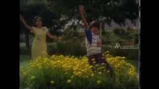 Raja Chinna Roja  Poo Poo Pol Song [upl. by Anayra]