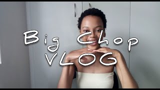 Big Chop Vlog  Chit Chat  4c Hair Products  TWA  South African YouTuber [upl. by Kavanagh]