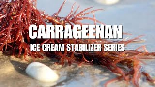 What is Carrageenan The Ice Cream Stabilizers Series [upl. by Erickson758]