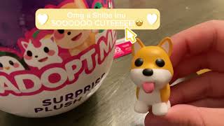 Unboxing a irl adopt me Roblox ocean and pet egg and a surprise plush egg [upl. by Roon14]