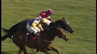 2004 Supreme Novices Hurdle Brave Inca Includes Post Race [upl. by Naahsar295]