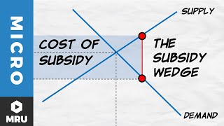 Subsidies [upl. by Ita]