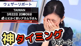 【大島璃音】神タイミングでの視聴者リポートquotトラップquotに、情報多すぎて混乱が収まらないquotお天気お姉さんquot【ウェザーニュース切り抜き】 [upl. by Ambrosia]