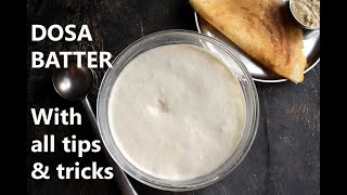 DOSA BATTER RECIPE  HOW TO MAKE DOSA BATTER  HOME with tips and tricks [upl. by Susy]