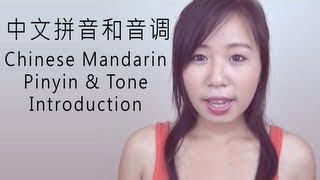 Introduction to Learning Chinese Mandarin  Pinyin amp Tones 学习中文普通话简介  拼音 amp 音调 [upl. by Latsryk]