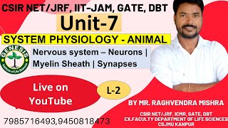 Neuron  Myelin sheath  Synapses  Nervous System  SYSTEM PHYSIOLOGY  ANIMAL Unit7 [upl. by Htebezile]