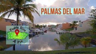 🛑Humacao 🌴PALMAS DEL MAR 🌊 en Carrito 🛺 de GOLF 4K [upl. by Brandtr]