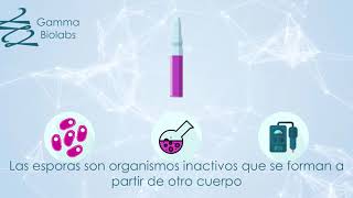 ¿Cómo funcionan los INDICADORES BIOLOGICOS para AUTOCLAVE 🧪  Gamma Biolabs [upl. by Aneala]