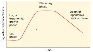 Microbial Growth and Metabolism [upl. by Nymzaj750]