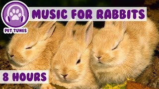 Over 8 HOURS of Relaxing Music for Rabbits Natural Stress and Anxiety Relief for Rabbits [upl. by Eiffe937]