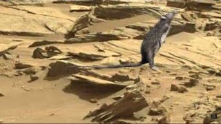 Mars Curiosityrodent or lizard2016 [upl. by Klecka949]