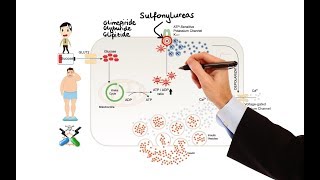 Pharmacology  DRUGS FOR DIABETES MADE EASY [upl. by Nrubloc]