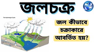 জলচক্র কীভাবে সম্পন্ন হয়।। Hydrological Cycle ।। Basic Geography [upl. by Therron391]