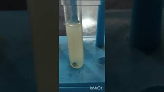 Reaction of Silver Nitrate with Copper  Displacement Reaction [upl. by Fritz]