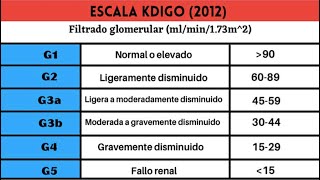 🔴 ESCALA DE KDIGO [upl. by Anaoj566]