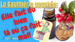 Comment Utiliser lHuile Essentielle de Gaulthérie Couchée Idéale contre les douleurs articulaires [upl. by Shaikh460]