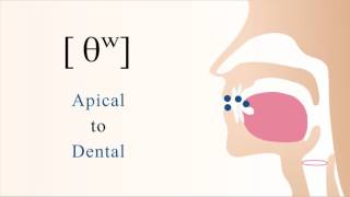 θʷ  unvoiced labialized apical dental non sibilant fricative [upl. by Aleinad282]