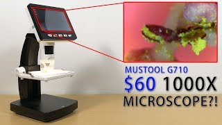 Another 1000X Digital Microscope Mustool G710 [upl. by Ramas]