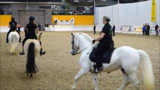 Connemara ShowTeam Verden 2017 [upl. by Pamela]