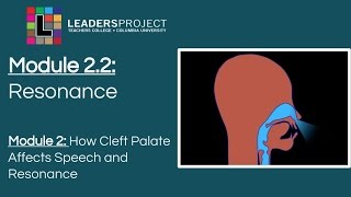 Module 22 Cleft Palate Speech and Feeding Resonance [upl. by Anahoj]