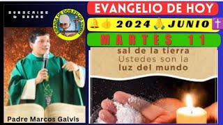 ✅ EVANGELIO DE HOY Martes 11 Junio 2024🛑ustedes son la sal de la tierra dice el Señor [upl. by Cutter]