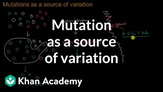 Mutation as a source of variation  Gene expression and regulation  AP Biology  Khan Academy [upl. by Naghem91]