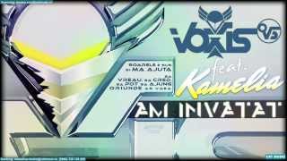 Voxis feat Kamelia  Am invatat Lyric Video [upl. by Enileuqaj532]