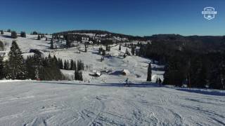 Skigebiet FeldbergSchwarzwald ZellerAbfahrt [upl. by Kono]