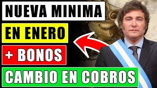 💥quotMile Nueva Minima Bono Enero y Aumento por Decretoquot para Jubilados y Pensionados Anses [upl. by Ienttirb549]