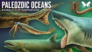 Aquatic Animals of the Paleozoic Era Size comparison and data Paleoart [upl. by Ydnak]