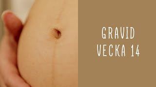 Gravid vecka 14 [upl. by Clara]