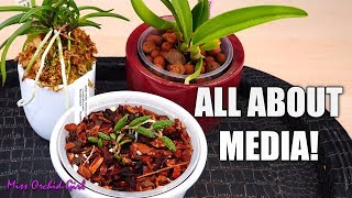 All about Orchid media  Bark moss LECA amp more  Simple guide for beginners [upl. by Aisyat]