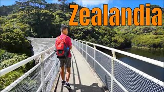 Zealandia Wellington New Zealand Long version [upl. by Emiolhs]