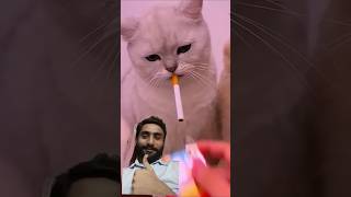 Do cats also smoke cigarettes😱🐈 cat​ pets​ catlover​ animals​ reactshorts​cigarette​cutecat​ [upl. by Trip792]