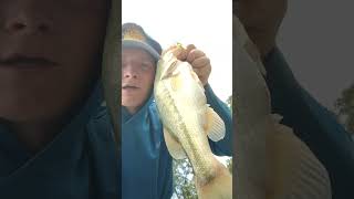 ultralight fishing bassfishing fishing fishingvideo magellan crocks viral viralvideo [upl. by Boor]