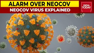 NeoCoV Explained Know Everything About The New Virus That Is Creating Panic  India Today [upl. by Mendoza]