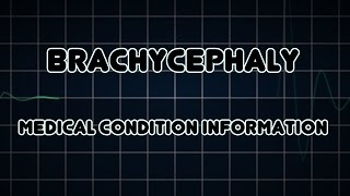 Brachycephaly Medical Condition [upl. by Gnouh]