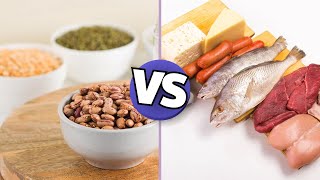 Plant Vs Animal Based Protein What Is The Difference [upl. by Nady]