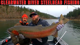 Clearwater River Steelhead Fishing [upl. by Livi74]