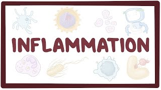 Inflammation  causes symptoms diagnosis treatment pathology [upl. by Devonne721]