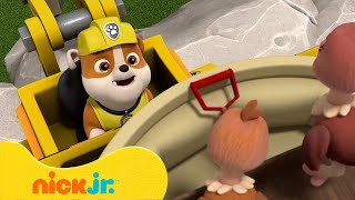 PAW Patrol  De beste reddingen van boerderijdieren Met Chase amp Marshall  Nick Jr Nederlands [upl. by Hardden272]