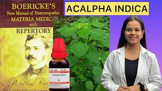 ACALPHA Indica homeopathic mother tincture from boerickes materia medica in Hindi [upl. by Sanson581]