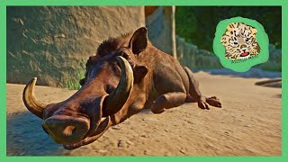 Warthog and Staff Facility  Planet Zoo  Adirondack Valley Zoo Eps 3 [upl. by Anelahs]