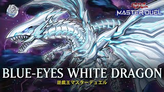 BlueEyes White Dragon  BlueEyes Alternative White Dragon  Rank Gameplay YuGiOh Master Duel [upl. by Han613]