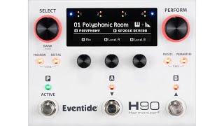 Holy Ground  Passion  Eventide H90 and Strymon Iridium Marshall [upl. by Yenmor]